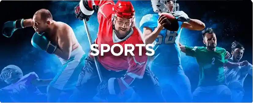Dynamic Sports Entertainment Experiences